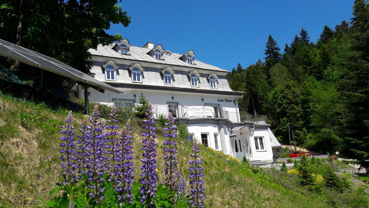 Lesna Polana- Blisko Centrum, Mini Spa, Cicha, Spokojna Okolica, Parking Gratis Krynica Zdroj Eksteriør billede